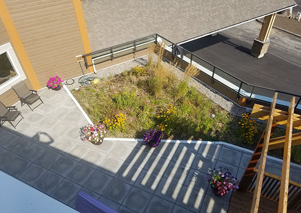 Green Roofing Calgary and Edmonton