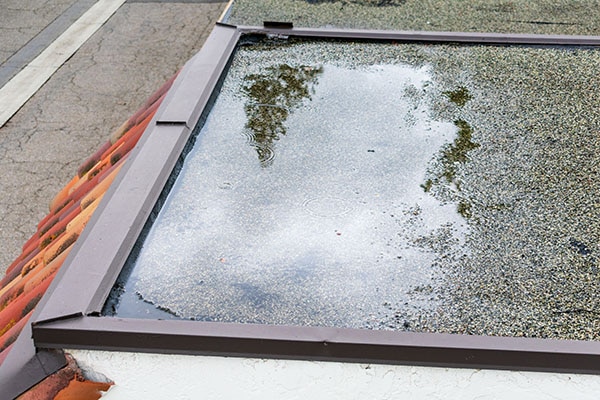 Flat Roof Ponding in Calgary and Edmonton