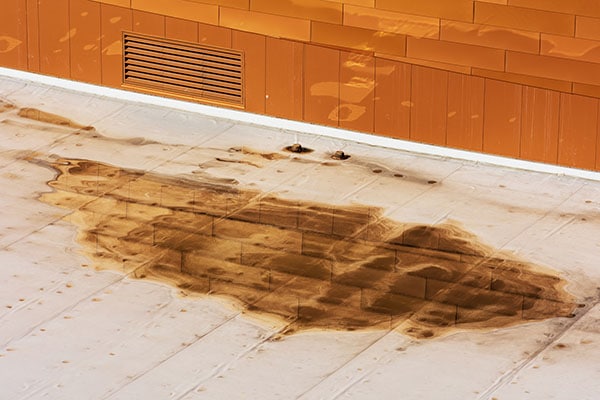 Water pooling on flat roof in Calgary and Edmonton